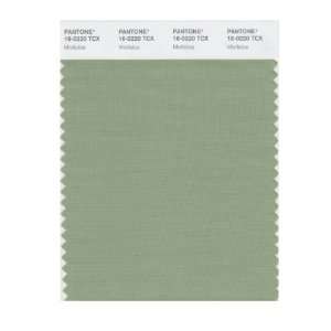   PANTONE SMART 16 0220X Color Swatch Card, Mistletoe