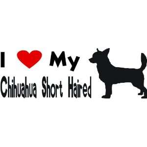 love my chihuahua short haired   Selected Color Burgundy   Want 