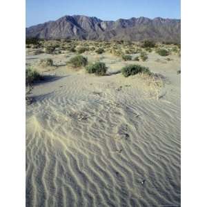  Sand Dunes and San Ysidro Mountains at el Vado, California 