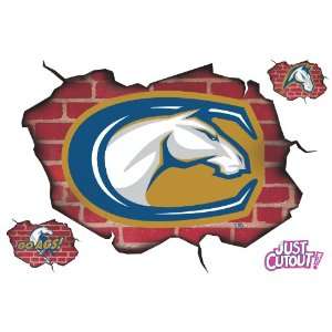  UCDavis   BreakOut Graphics