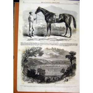 Jonathas Horse Fontainbleau Stakes 1862 Racecourse 