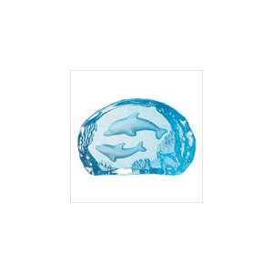  Newborn Dolphin Paperweight 