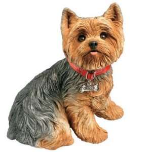  Life Size Yorkshire Terrier 