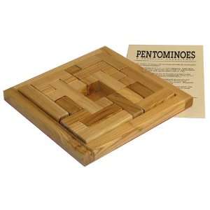    Worldwise Imports Pentominoes Wood Puzzle Game Toys & Games