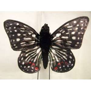   Checkerspot Butterfly Puppet with Ten Inch Wingspan Toys & Games