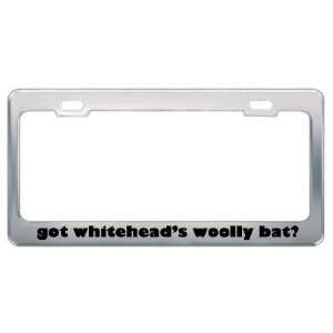 Got WhiteheadS Woolly Bat? Animals Pets Metal License Plate Frame 