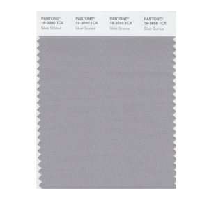  Pantone 16 3850 TCX Smart Color Swatch Card, Silver Sconce 