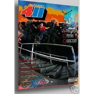  411 VM Volume 13 04 Skateboard DVD