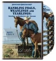   FOALS, WEANLINGS AND YEARLINGS COMPLETE DVD SET Explore similar items