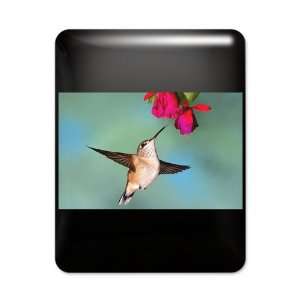  iPad Case Black Black Chinned Hummingbird 