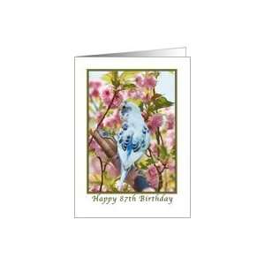  87th Birthday, Blue Parakeet and Flowers Card Toys 