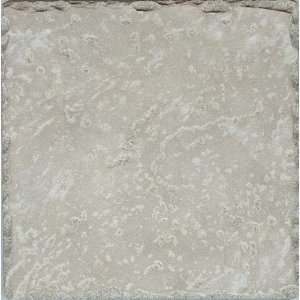    cerdomus ceramic tile pietra d assisi grigio 8x8