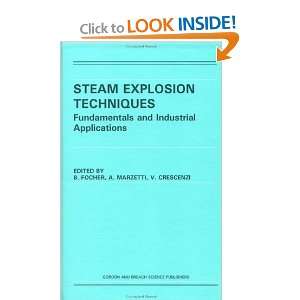  Steam Explosion Techniques Fundamentals and Industrial 
