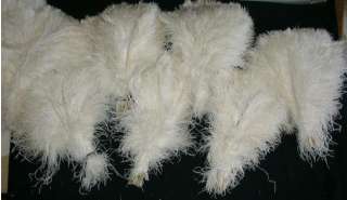 OSTRICH FEATHER~200 Pcs~SECONDS~WHITE~5 12~DRABS  