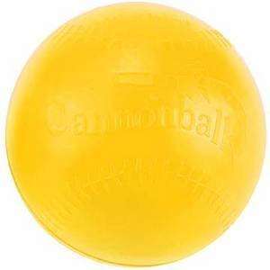  Cannon Ball Rubber Weighted Ball One Pound Sports 