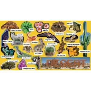   545 17750 4 Desert Plants & Animals Mini Bulletin Board Toys & Games