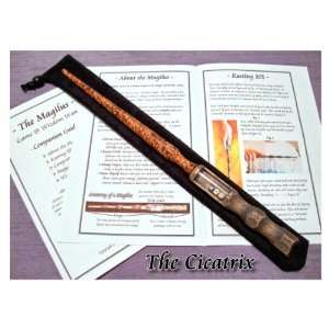    Game & Wizdom Wand. The Magic Wand That Works Toys & Games