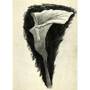  1955 Heliogravure Georges Braque Calla Lily Flower 