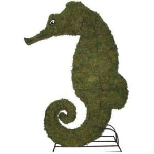  Seahorse 24 Mossed Topiary Frame