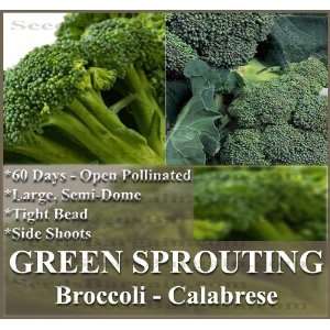  1 oz (6,000+) SPROUTING CALABRESE Broccoli seeds   FRESH 