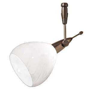   Track Head in Satin Nickel Shade Color Opal, Mounting Type Monorail