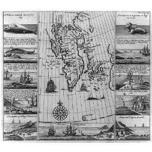  Engravings,whale,walrus,bear hunting,map of Greenland 