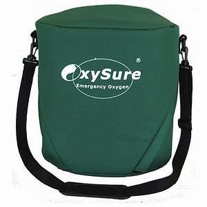  Oxysure Systems Thermal Bag, 1 ea