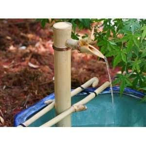  Adjustable water spout and pump kit