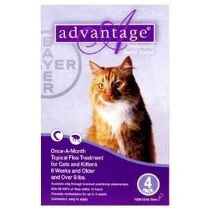 Bayer Advantage Month Long Flea Control Solution (Purple Box for Cats 
