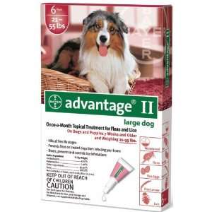  6 MONTH Advantage II Flea Control Large Dog (for Dogs 21 