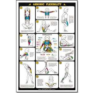  Fitnus Chart  Aerobic Flexibility 23x35 , Item Number 