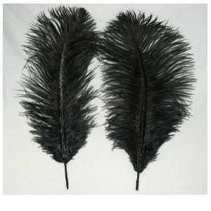 Ostrich~Coal Black 20 Ostrich Feather 9 12 to Decorate Eiffel Tower 