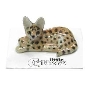  SERVAL African WILD CAT Pounce Kitten lays Big EARS New 