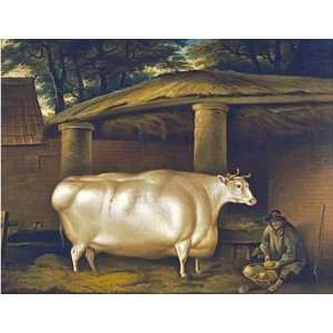  The White Heifer That Travelled by Thomas Weaver. Size 10 