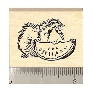  Guinea Pig Eating Fruit Rubber Stamp   Wood Mounted Arts 