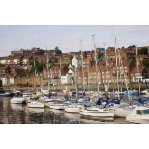  Yacht Moorings   Whitby   Peel and Stick Wall Decal by 