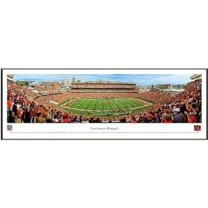  Cincinnati Bengals Paul Brown Stadium Framed Panoramic 