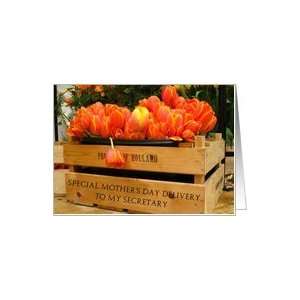  secretary   orange tulips special mothers day delivery 