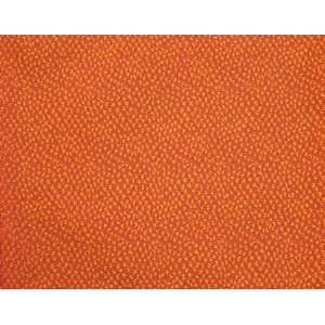  1018 Shakira in Spice by Pindler Fabric
