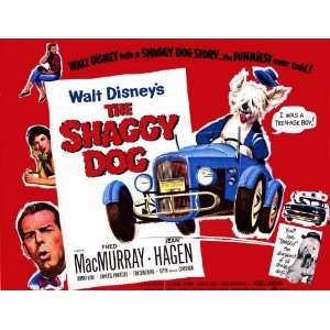  Shaggy Dog Movie Poster (11 x 14 Inches   28cm x 36cm 