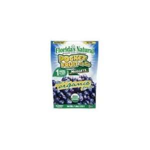 Florida Blueberry Pocket Fruit to Go ( 6x1.8 OZ)  Grocery 