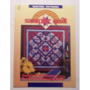    Minature Sampler Quilt (Craft Book) Dianne McAnaney Books