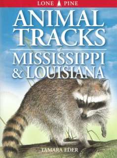   Birds of Louisiana and Mississippi Field Guide by 