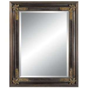   Traditional Mirror   O La La (Dark Gold) (62H x 50W x 2.25D) Home