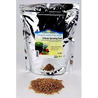 Certified Organic Triticale Grain Sprouting Seeds   Triticale Sprout 