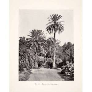  1901 Print Algiers Algeria Africa Jadin Essai Hamma Garden 