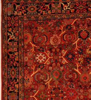 Area Rugs Large Handmade Persian Wool Soultan Abad 9 x 122  