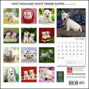 West Highland White Terriers Puppies 2012 Wall Calendar  