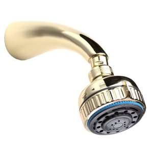  GS 2206 2 Deluxe Shower Head with Arm in Polished Brass 