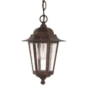  Nuvo 60/992 Old Hanging Lantern with Clear Seeded Glass, Old 